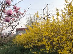 -云岗森林公园