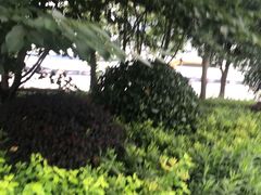 -公平路渡口(轮渡站)