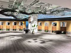 -大视光学•LINDBERG林德伯格•全球手工眼镜集合店(王府井店)
