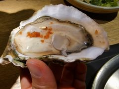 -囧吉香生蚝牛排馆(湖北路店)