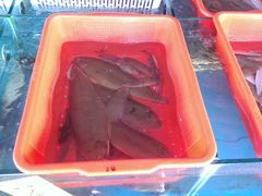 -沙头涌渔栏海鲜餐厅