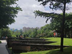 -王借岗森林公园