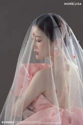 -青禾蒙娜丽莎婚纱摄影(武汉总店)