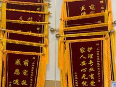 -康成宠物医院24H·CT·核磁共振