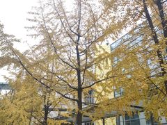-四川大学(江安校区)