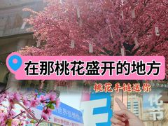 -北京明城墙遗址公园