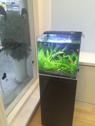 -星童star.kids儿童发型设计·满月胎发(玉兰花园店)