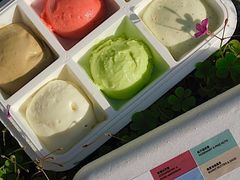 -Dip in Gelato(富民路店)
