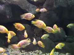 -苏州海洋馆