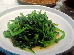 清炒鸡毛菜-西安饭庄·非遗陕菜(钟楼店)