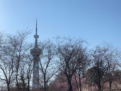 -南京古林公园