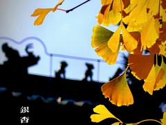 -月坛公园