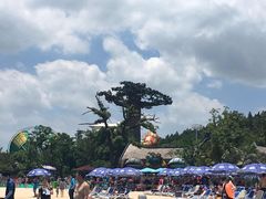 -苏州乐园森林水世界