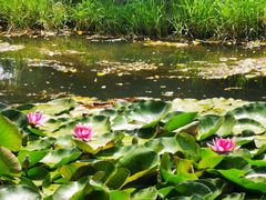 -长白岛森林公园