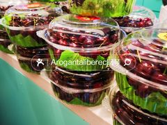 -胡麻地果研所(兰州中心BM店)