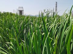 -永定河休闲森林公园