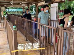 -史努比缤纷世界