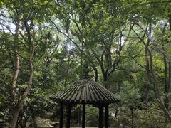-虞山风景区