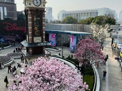 -东方明珠广播电视塔