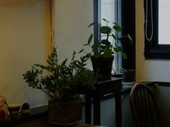 -知亘茶食
