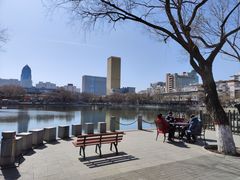 -文瀛公园