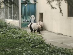 -西安秦岭野生动物园