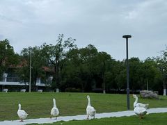 -厦门国家会计学院