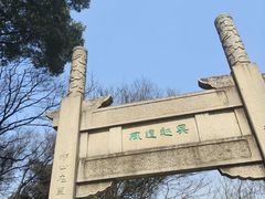-苏州上方山国家森林公园
