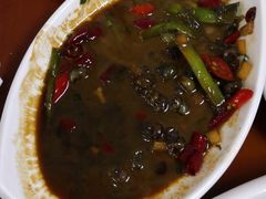 -品雅轩农家乐