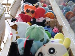 -Husky Go! 哈士奇体验馆·宠物咖啡厅狗咖