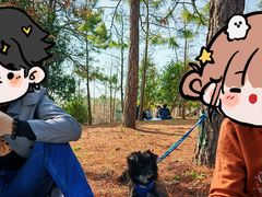 -上海海湾国家森林公园