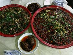 -东吴霸王兔(松青路店)
