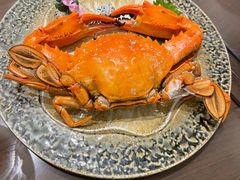 -德信恒隆国际酒店