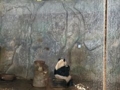 -深圳野生动物园
