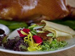 -北京园博大酒店