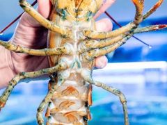 -驻海渔市(置信店)