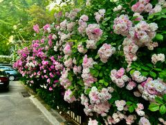 -回龙观体育文化公园