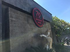 -巴厘岛黄金金兔咖啡工厂