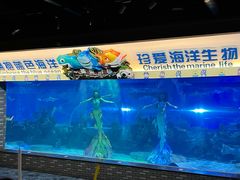 -成都浩海立方海洋公园