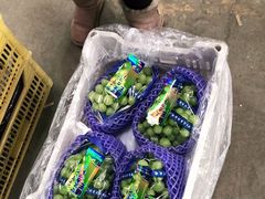 -沈阳市八家子水果批发市场