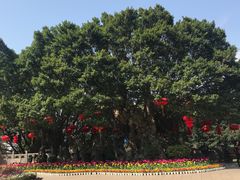 -船政文化景区-罗星塔公园