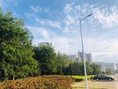 -蒲河岛湿地公园