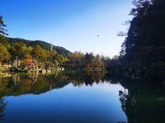 -四明山国家森林公园