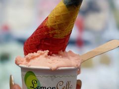 -柠檬车露(卖草地店)