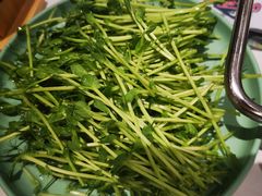 -肥佬大椰子鸡(三里屯3·3大厦店)