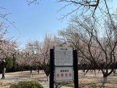 -东升八家郊野公园
