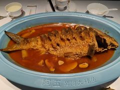 红烧黄河鲤鱼-阿五黄河大鲤鱼(英协路店)