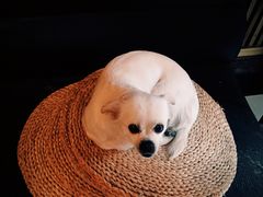 -哈尔滨北方国际青年旅舍(中央大街店)