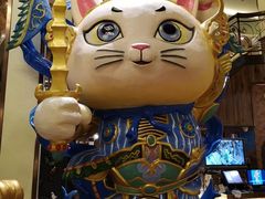 -more than meow吴止猫主题餐厅(承德 中船汇店)