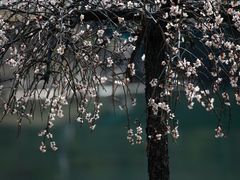 -白塘生态植物园